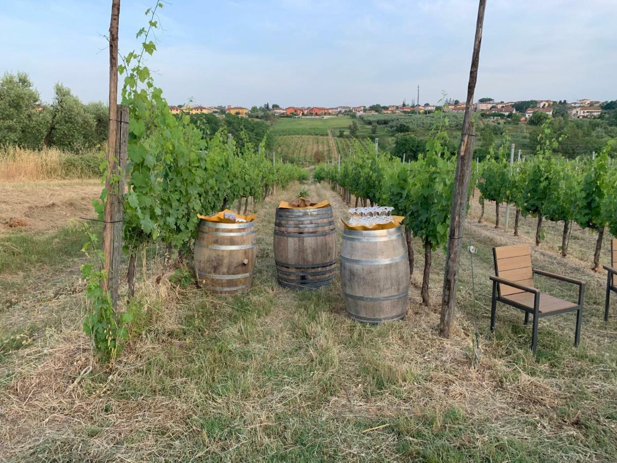 Вилла Agriturismo Tenute Poggio Di Bobi Лампореккьо Экстерьер фото